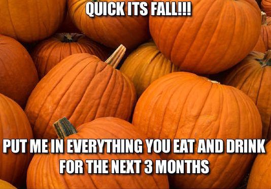All Pumpkin, All The Time Season