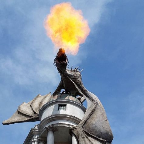 6b6ce-11821334_1637623659828660_1322241820_n