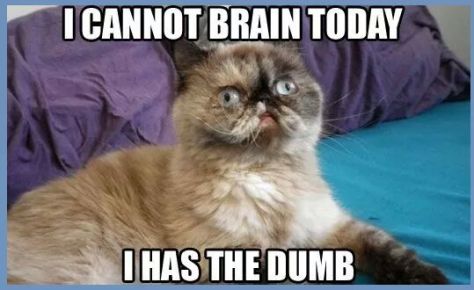 10388188_10205959196091245_7390273067450947618_n