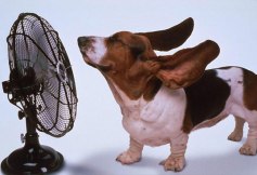 Air-conditioning-fan
