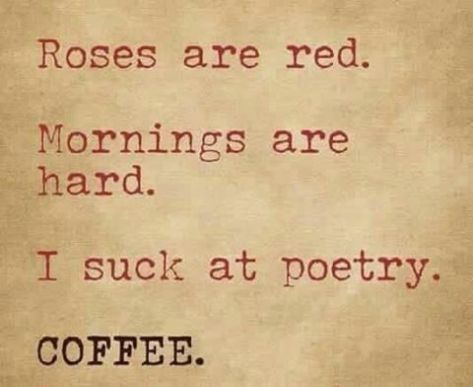 14445992_1413510282009651_8638649675652738901_n