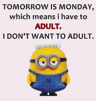 14484702_786442554838600_1200289122527956118_n