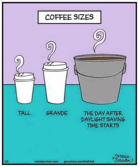 17203076_10212046345262067_4960365011382983242_n