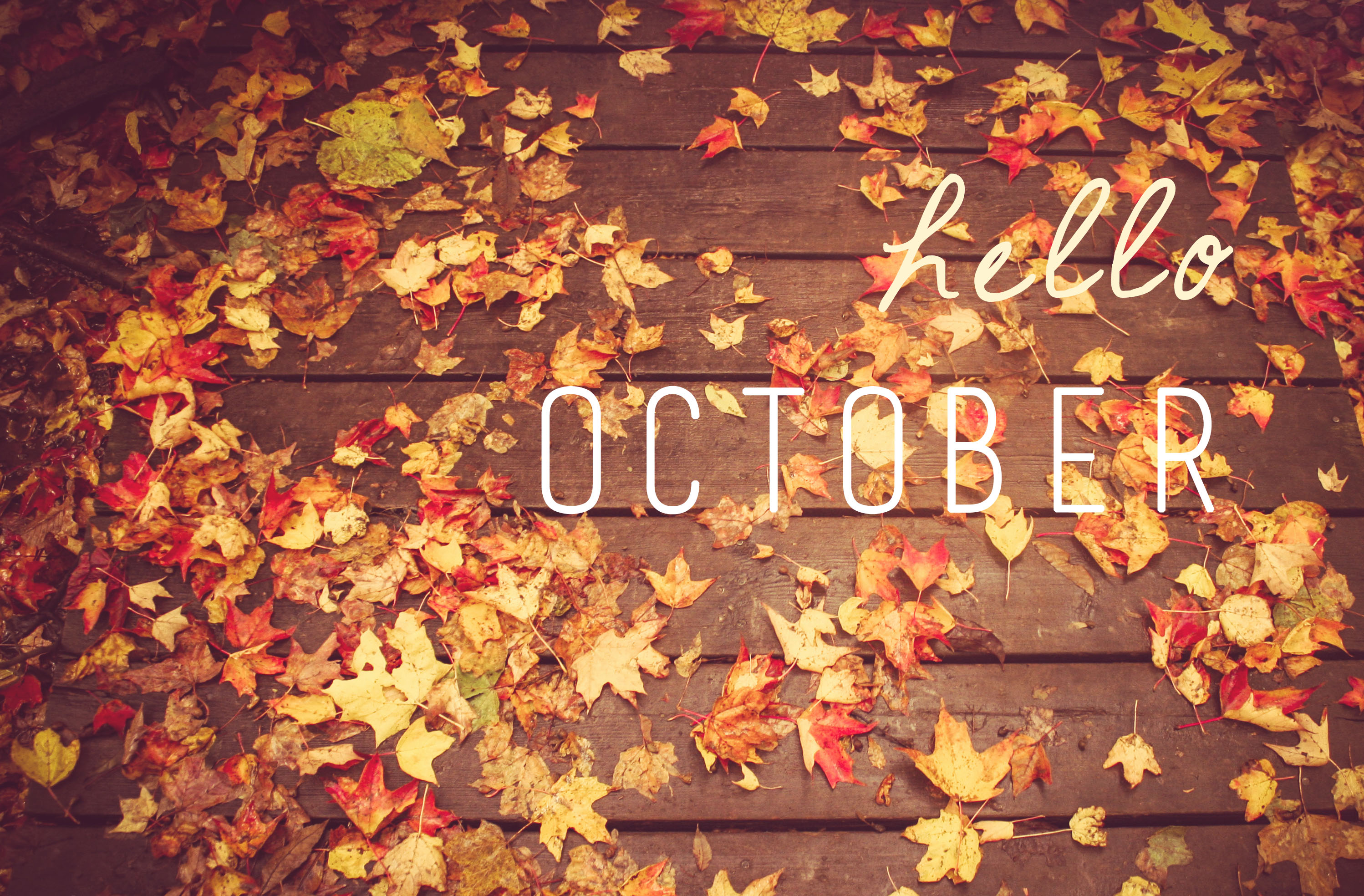 636116278796034164-1407608792_hello october