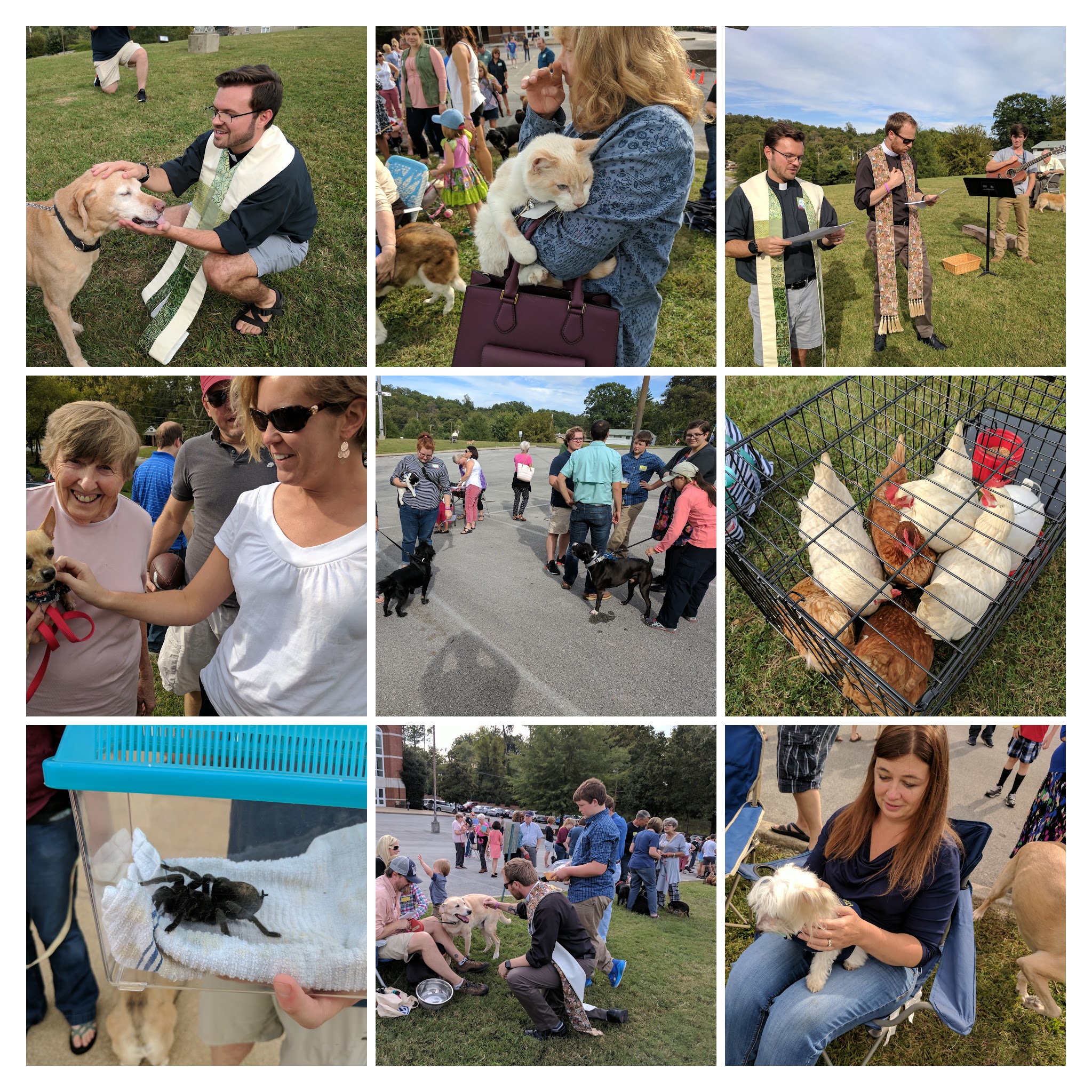 IMG_20171001_162710-COLLAGE