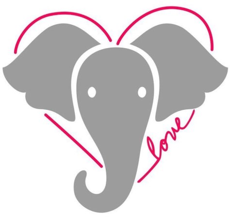 DOz03K7U8AIWTYb.jpg:large