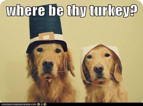 Funny-Thanksgiving-Dog-20