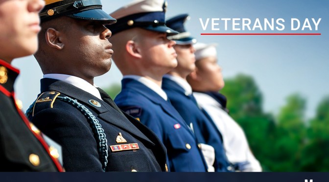 Veterans Day In America