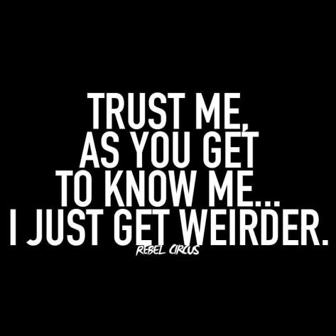 17353259_1248860901878793_4240457249320435246_n