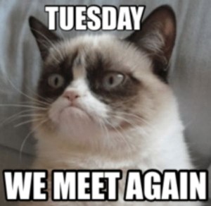 cool-tuesday-meme-images