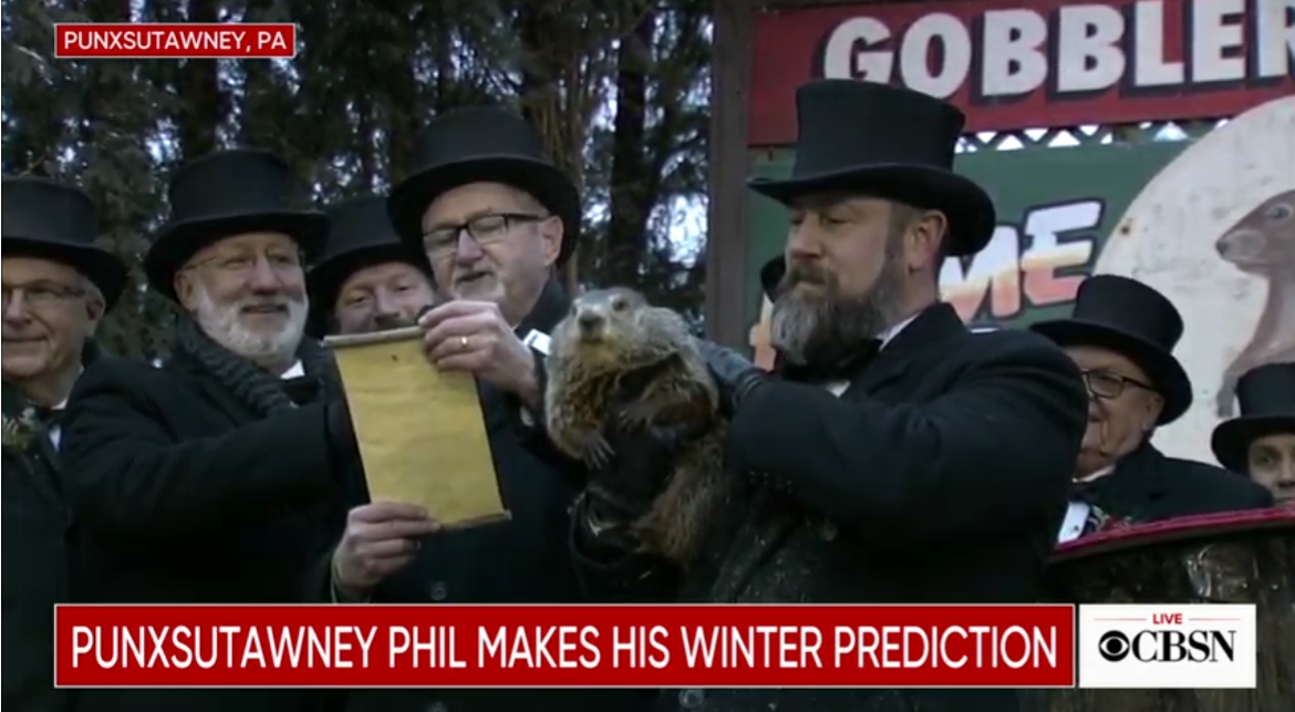 Screenshot 2019-02-02 at 7.27.58 AM