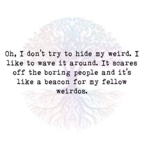 65271634_2541240895919782_4272877411613278208_n